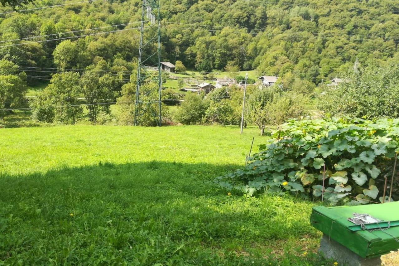 La Casetta Nel Cuore Del Parco Locana Bagian luar foto